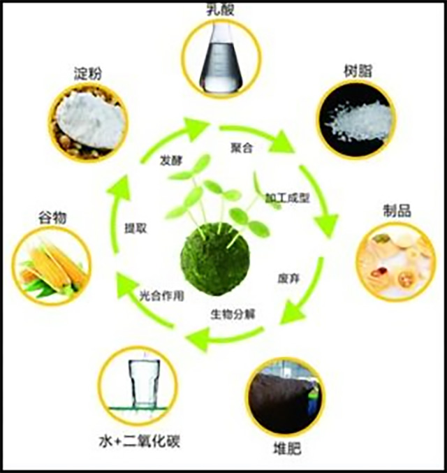 182-生物基塑料与生物降解塑料